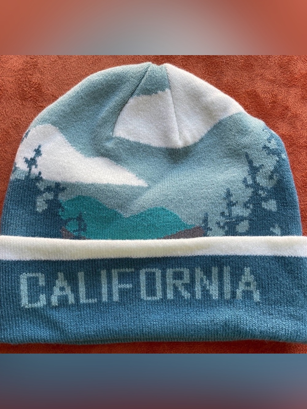 HOME FREE NWOT Cool CALIFORNIA Motif BEANIE Knit HAT O/S